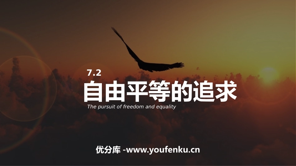 《自由平等的追求》PPT优秀课件[八年级道德与法治下册]_第1页
