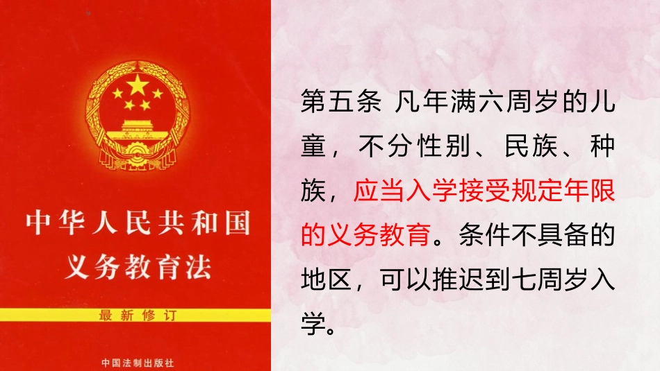 《自由平等的追求》PPT优秀课件[八年级道德与法治下册]_第3页