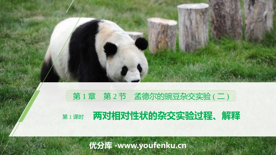 《孟德尔的豌豆杂交实验》遗传因子的发现PPT_第1页