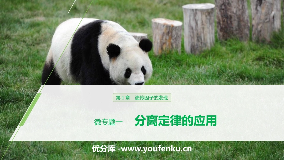《微专题一 分离定律的应用》遗传因子的发现PPT课件_第1页