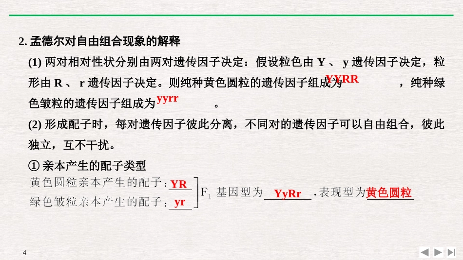 《孟德尔的豌豆杂交实验(二)》遗传因子的发现PPT课件_第3页