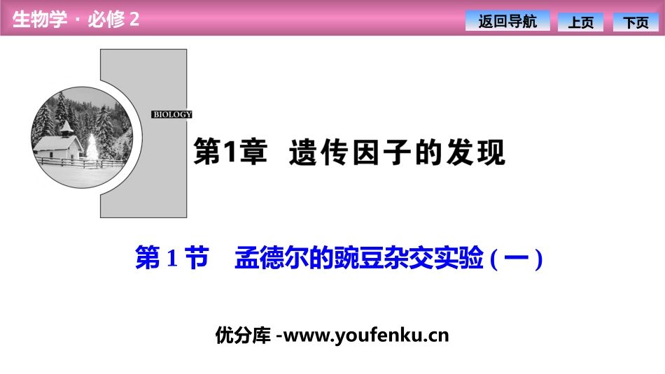 《孟德尔的豌豆杂交实验(一)》遗传因子的发现PPT课件_第1页