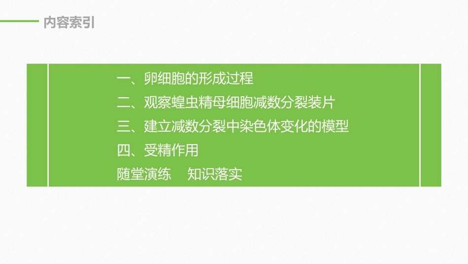 《减数分裂和受精作用》基因和染色体的关系PPT课件_第3页