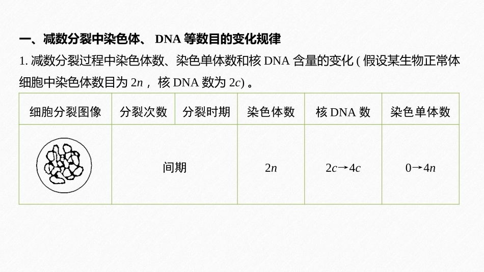 《微专题三　减数分裂中染色体、DNA等数目的变化规律及细胞图像识别》基因和染色体的关系PPT课件_第2页