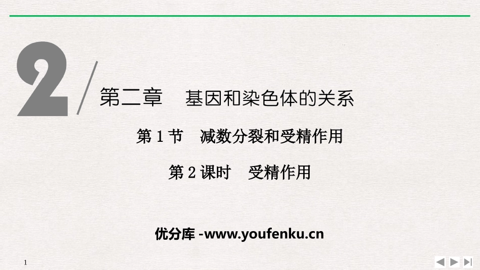 《减数分裂和受精作用》基因和染色体的关系PPT课件_第1页