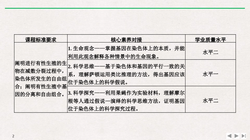《基因在染色体上》基因和染色体的关系PPT课件[人教版高中生物必修二]_第2页