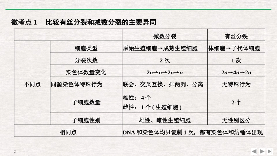 《微专题三 减数分裂的解题方法》基因和染色体的关系PPT课件_第2页