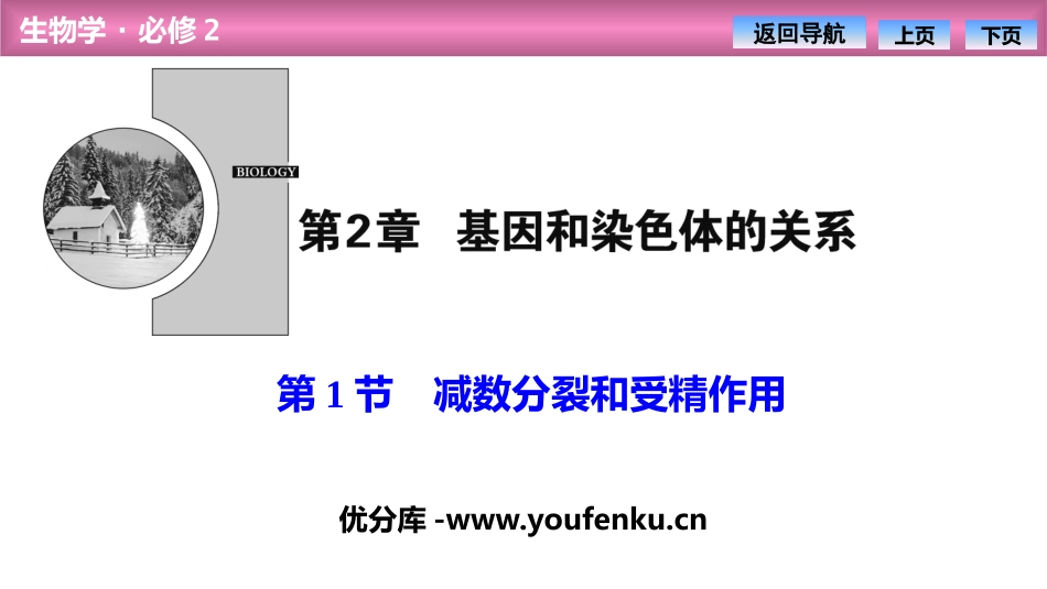 《减数分裂和受精作用》基因和染色体的关系PPT课件_第1页