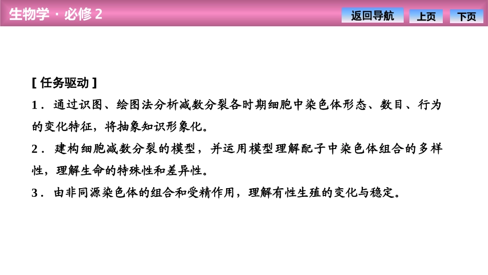 《减数分裂和受精作用》基因和染色体的关系PPT课件_第2页