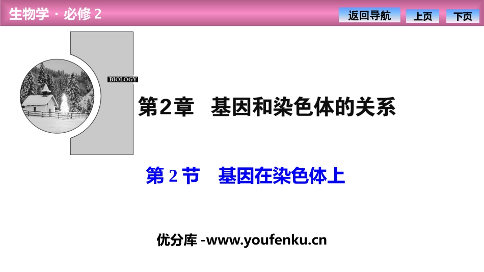 《基因在染色体上》基因和染色体的关系PPT课件[人教版高中生物必修二]_第1页