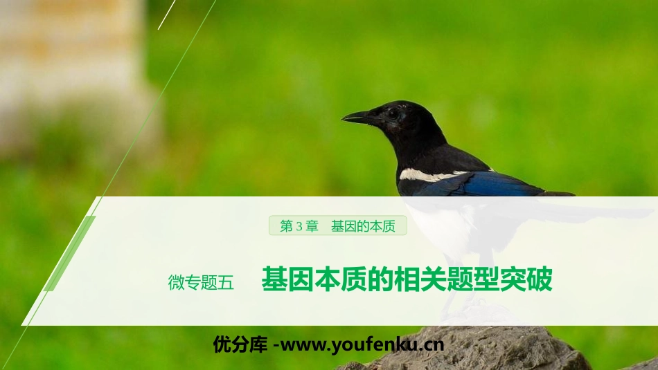 《微专题五 基因本质的相关题型突破》基因的本质PPT课件_第1页