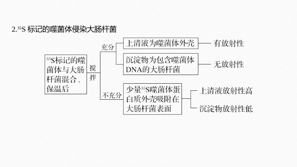《微专题五 基因本质的相关题型突破》基因的本质PPT课件_第3页