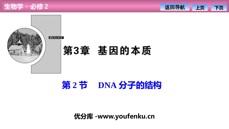 《DNA的结构》基因的本质PPT课件[人教版高中生物必修二]_第1页