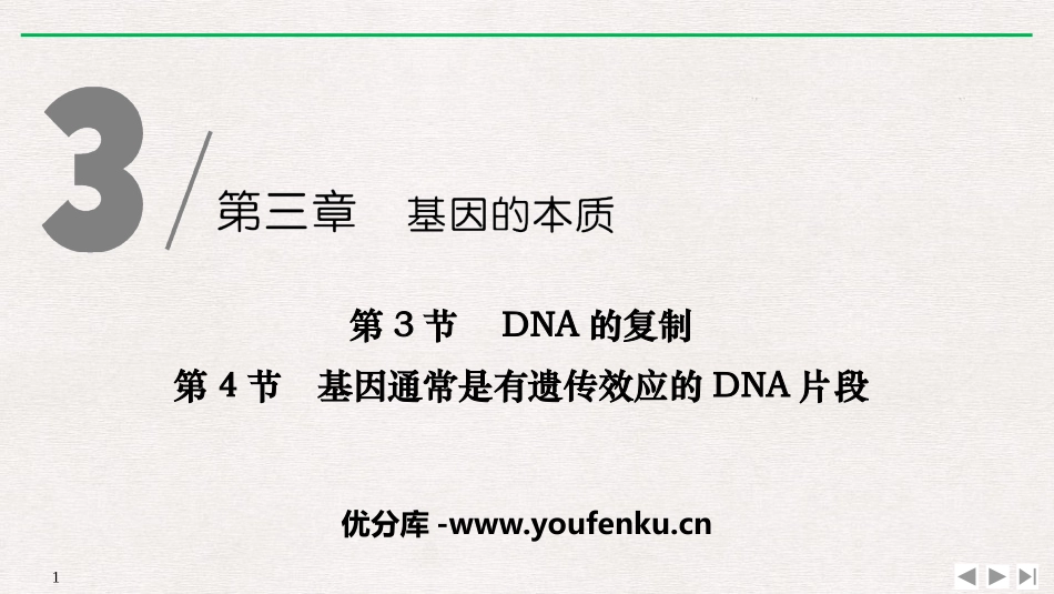 《DNA的复制》[人教版高中生物必修二]_第1页