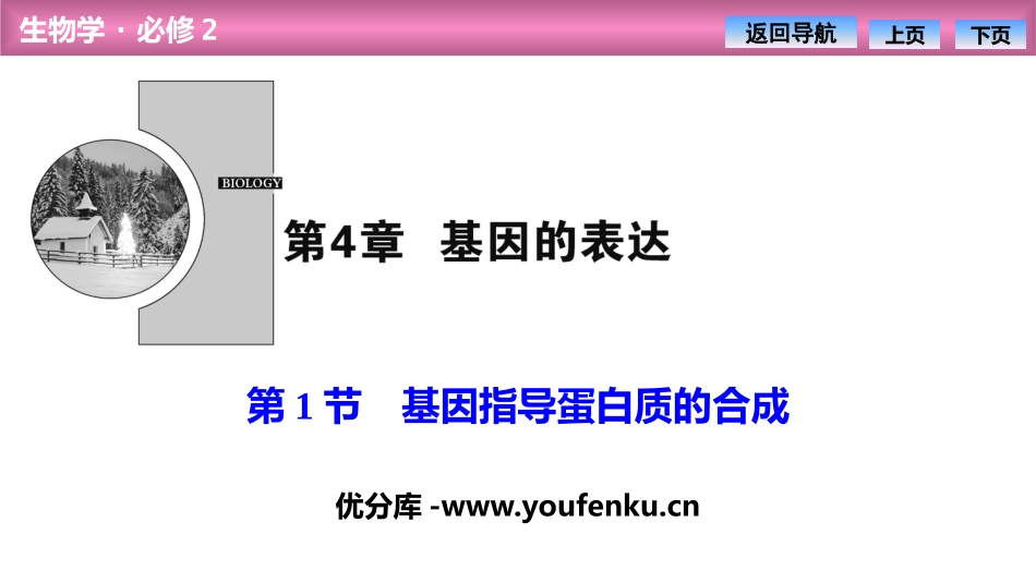 《基因指导蛋白质的合成》基因的表达PPT课件[人教版高中生物必修二]_第1页