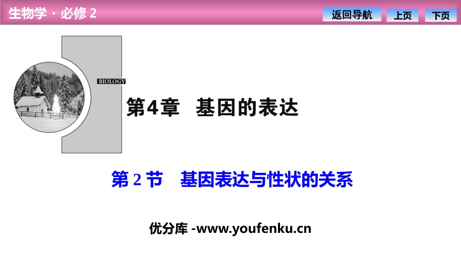 《基因表达与性状的关系》基因的表达PPT课件[人教版高中生物必修二]_第1页