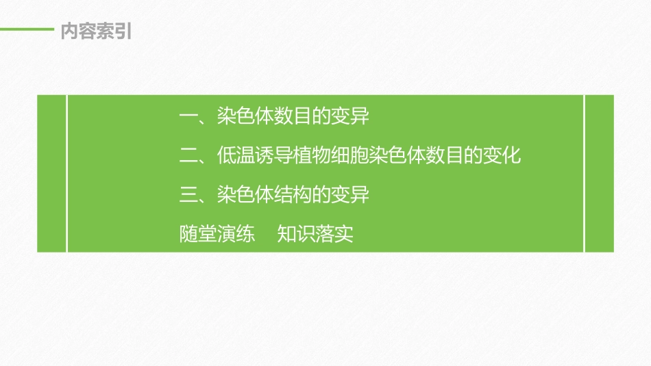 《染色体变异》基因突变及其他变异PPT课件[人教版高中生物必修二]_第3页