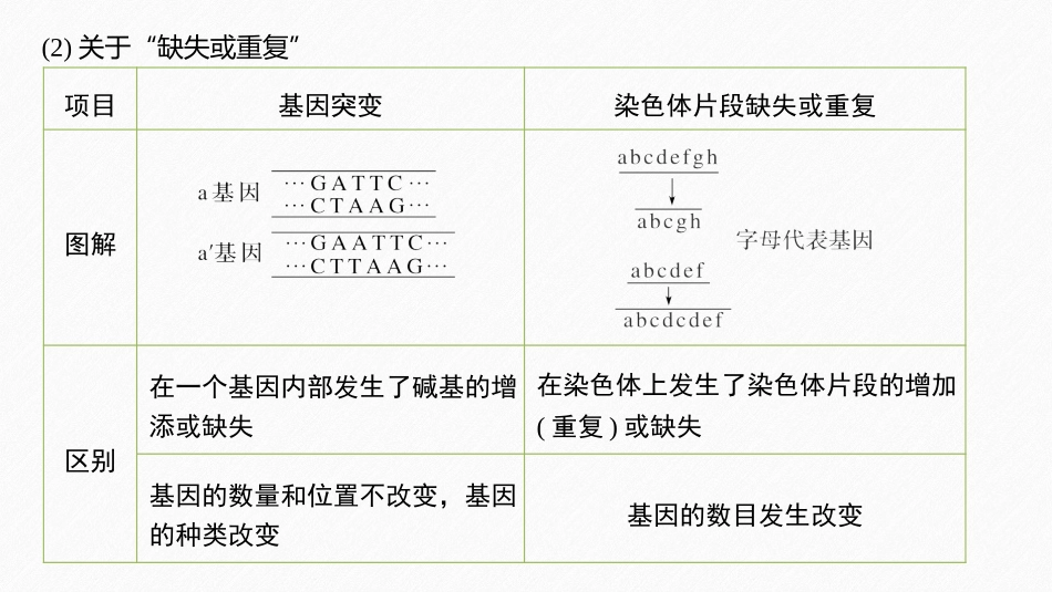 《微专题六 遗传变异相关的解题方法》基因突变及其他变异PPT课件_第3页