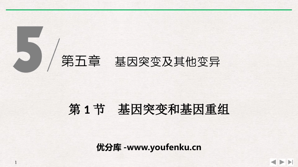 《基因突变和基因重组》基因突变及其他变异PPT课件_第1页