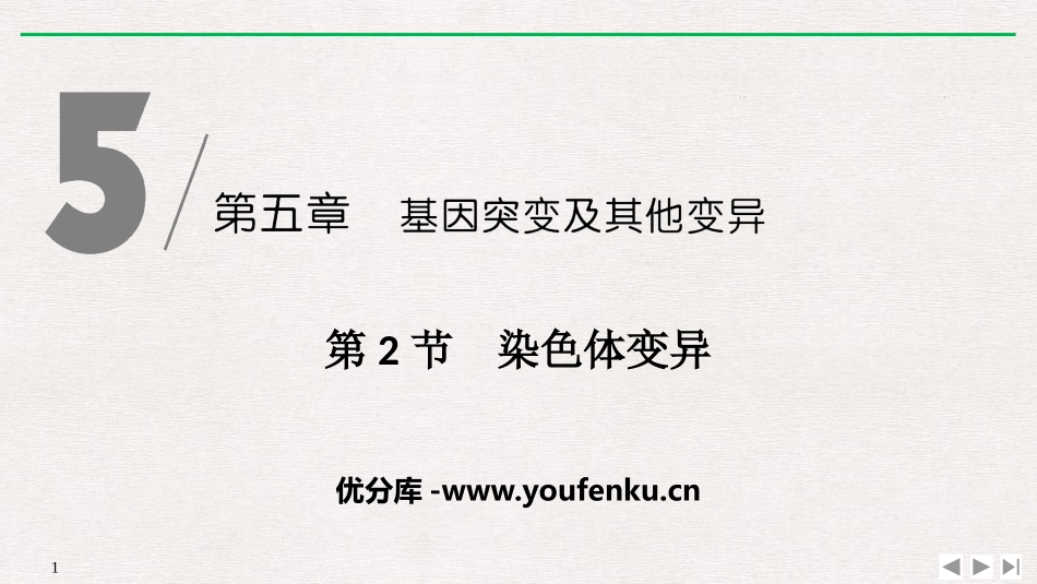 《染色体变异》基因突变及其他变异PPT课件[人教版高中生物必修二]_第1页