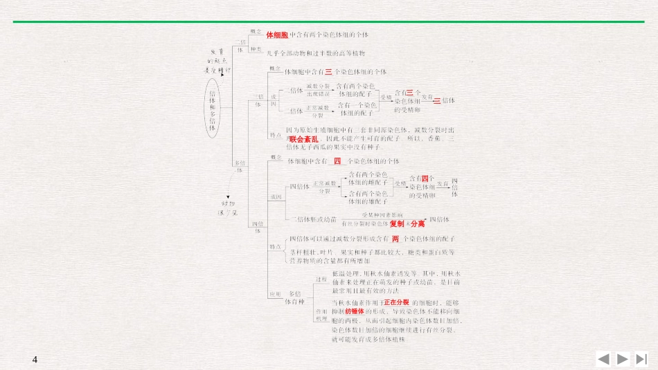《染色体变异》基因突变及其他变异PPT课件[人教版高中生物必修二]_第3页