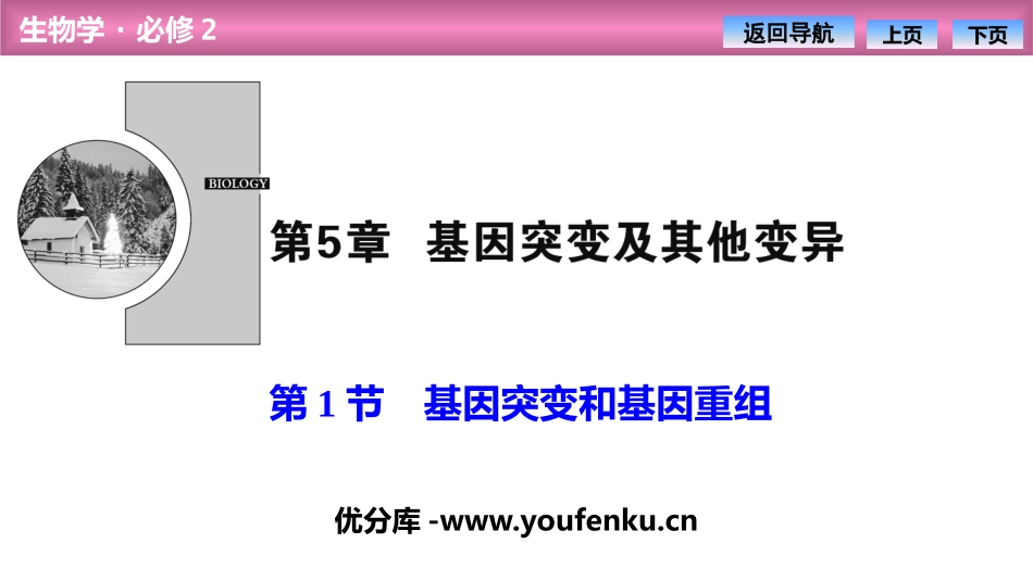 《基因突变和基因重组》基因突变及其他变异PPT课件_第1页