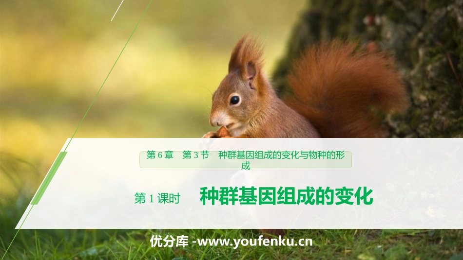《种群基因组成的变化与物种的形成》生物的进化PPT课件_第1页