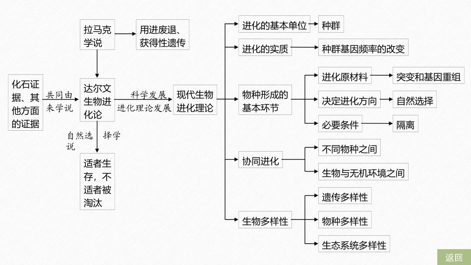 《章末总结》生物的进化PPT课件[人教版高中生物必修二]_第3页