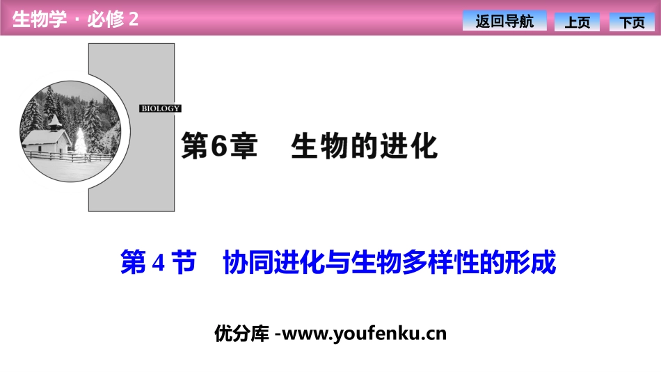 《协同进化与生物多样性的形成》生物的进化PPT课件_第1页