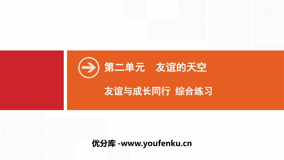 《友谊与成长同行》友谊的天空PPT(综合练习)PPT课件_第1页