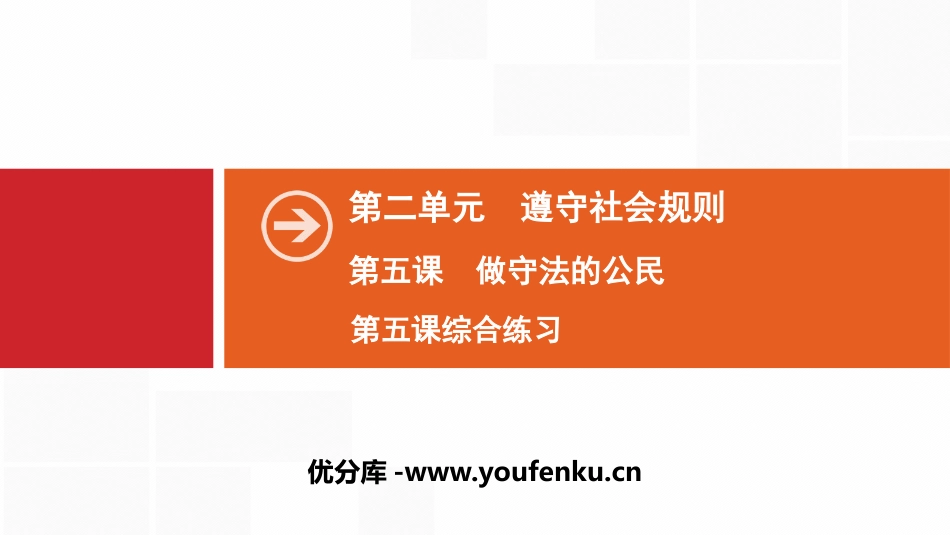 《做守法的公民》遵守社会规则PPT(综合练习)PPT课件_第1页