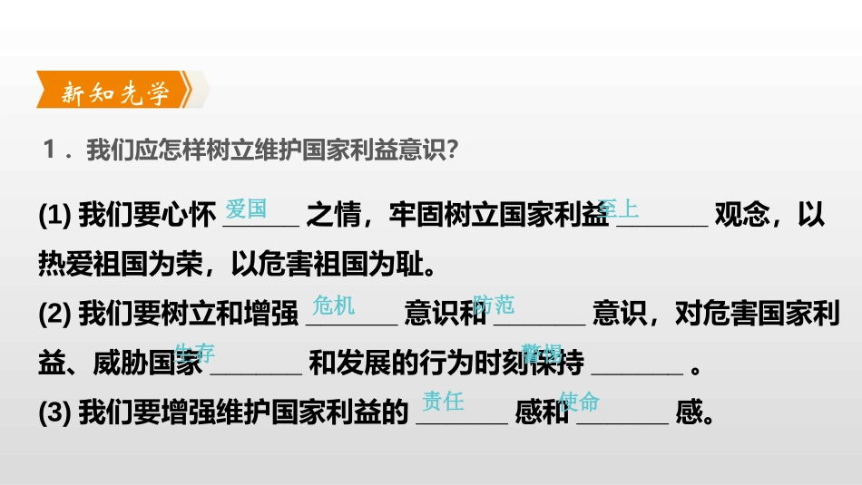 《国家利益至上》维护国家利益PPT课件_第2页