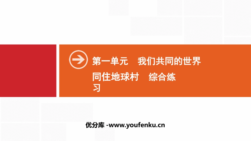 《同住地球村》我们共同的世界PPT(综合练习)PPT课件_第1页