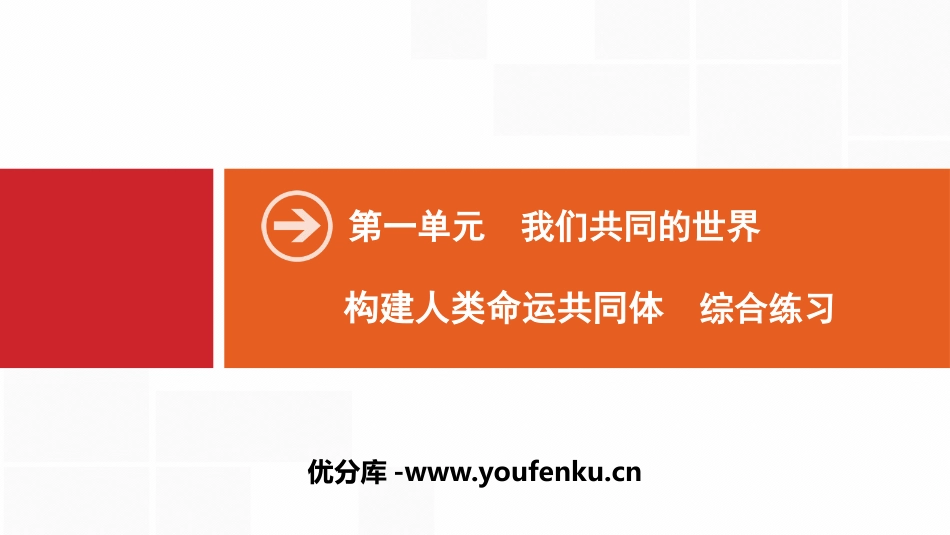 《构建人类命运共同体》我们共同的世界PPT(综合练习)PPT课件_第1页