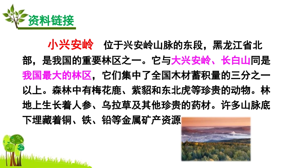 《美丽的小兴安岭》PPT优质课件[部编版三年级语文上册]_第2页