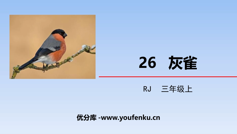 《灰雀》PPT课件[部编版三年级语文上册]_第1页