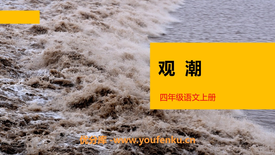 《观潮》PPT优秀课件[部编版四年级语文上册]_第1页