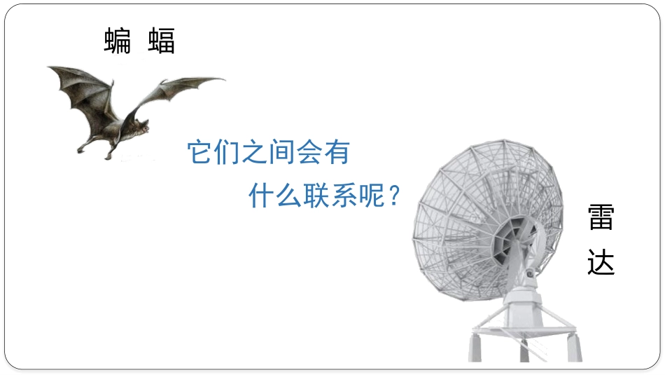 《蝙蝠和雷达》PPT免费课件[部编版四年级语文上册]_第2页