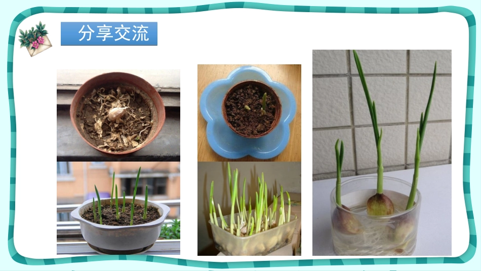 《写观察日记》PPT课件[部编版四年级语文上册]_第3页