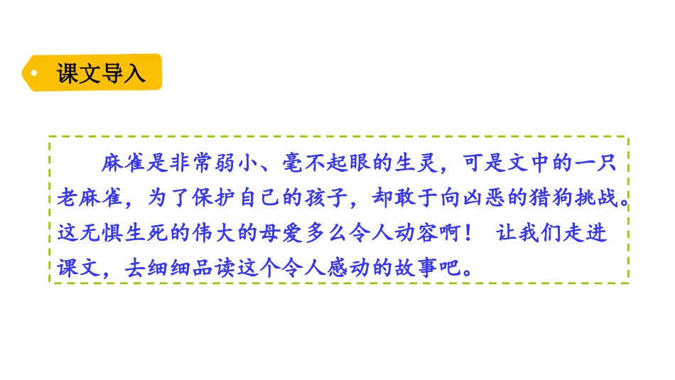 《麻雀》PPT教学课件[部编版四年级语文上册]_第2页