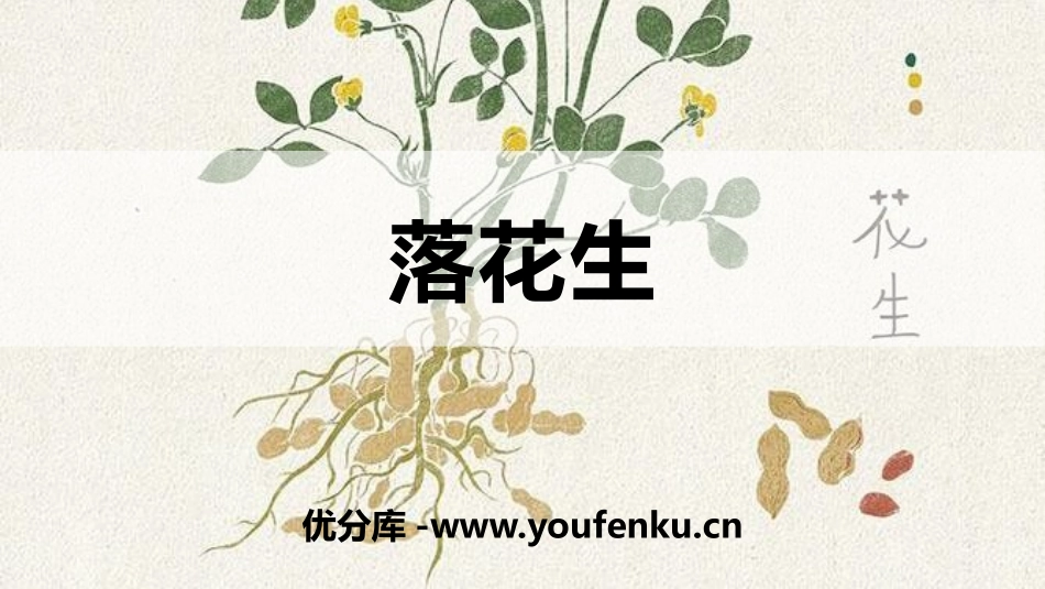 《落花生》PPT优秀课件[部编版五年级语文上册]_第1页
