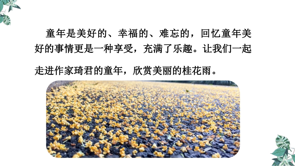 《桂花雨》PPT优质课件[部编版五年级语文上册]_第2页