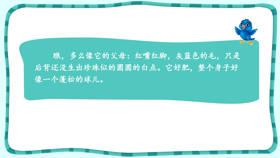 《珍珠鸟》PPT优质课件[部编版五年级语文上册]_第3页