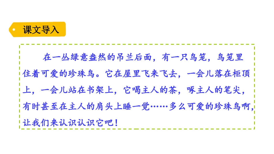 《珍珠鸟》PPT优秀课件[部编版五年级语文上册]_第2页