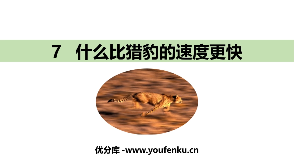 《什么比猎豹的速度更快》PPT免费课件[部编版五年级语文]_第1页
