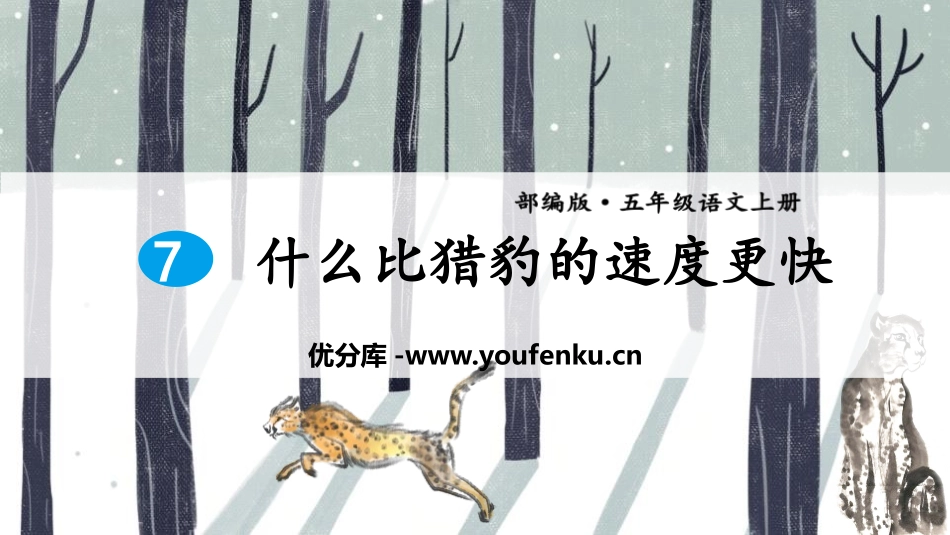 《什么比猎豹的速度更快》PPT课件[部编版五年级语文上册]_第1页