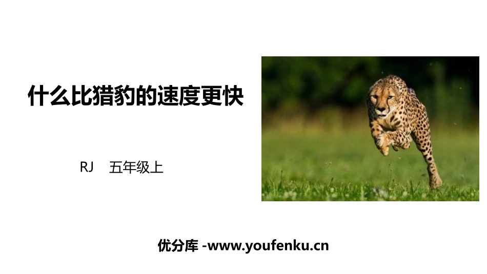 《什么比猎豹的速度更快》PPT优质课件[部编版五年级语文]_第1页