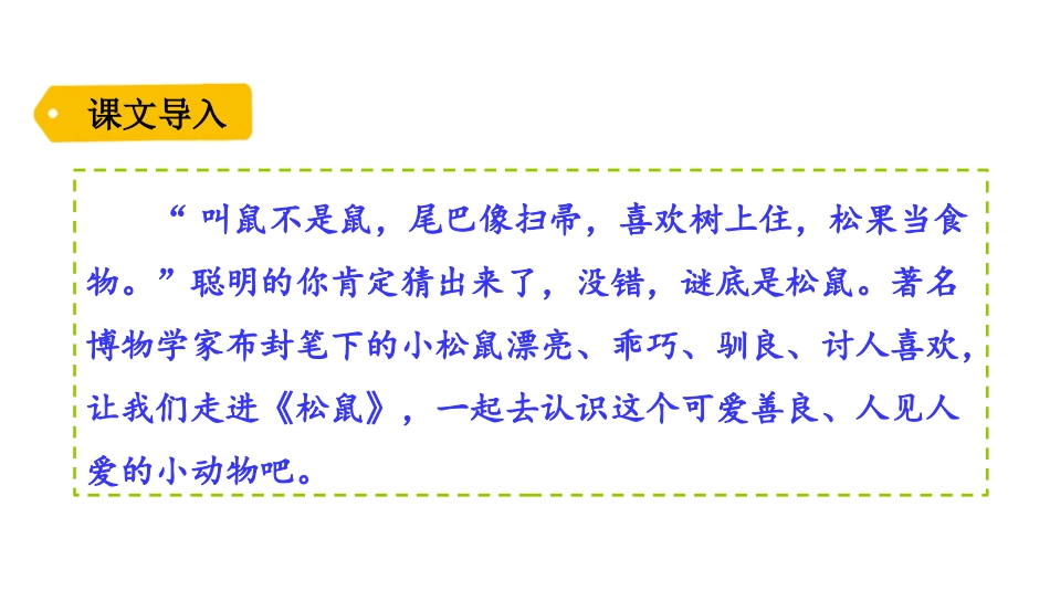 《松鼠》PPT精品课件[部编版五年级语文上册]_第2页