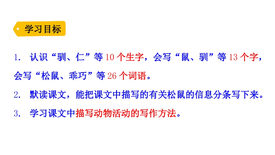 《松鼠》PPT精品课件[部编版五年级语文上册]_第3页