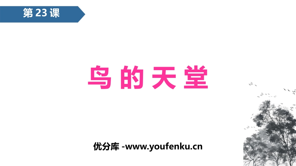 《鸟的天堂》PPT免费课件[部编版五年级语文上册]_第1页